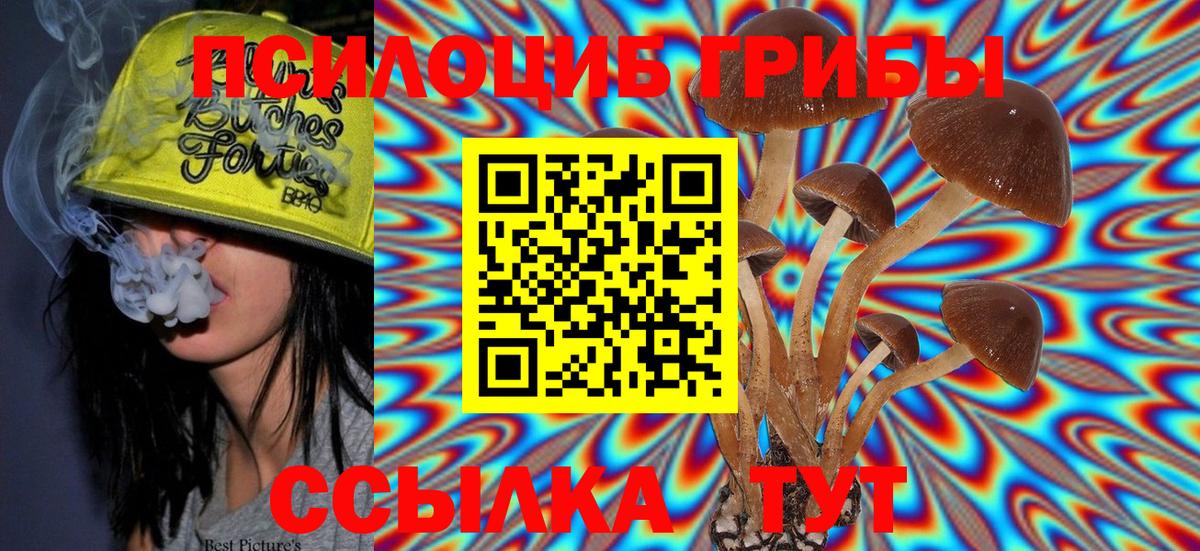 Псилоцибиновые грибы GOLDEN TEACHER  Галлюциногенные грибы мухоморы  Сланцы  Вход с VPN 