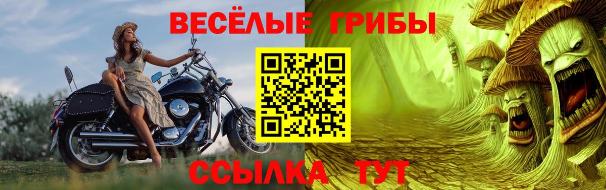Галлюциногенные грибы Magic Shrooms Сланцы
